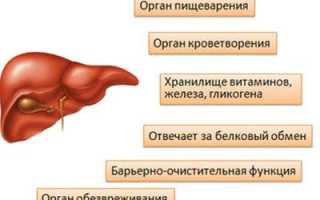 Что такое дезинтоксикация организма
