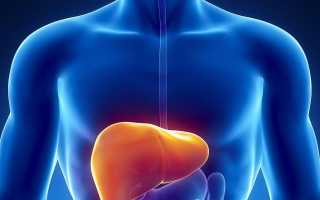 Какими травами можно очистить печень