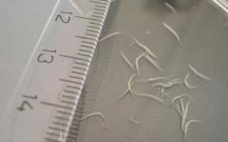 Глисты у ребенка во влагалище: почему появляются у девочек и как с эти бороться