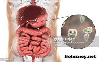 Лечение лямблий у взрослых: диета, препараты, способы лечения