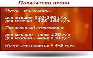 Полезные свойства опят и возможные риски отравления грибами