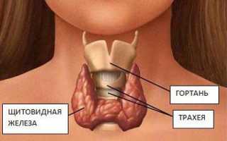 Эутирокс с алкоголем: какова совместимость