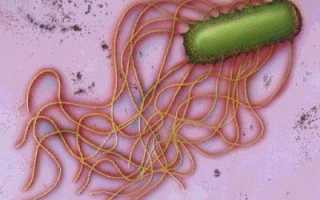 Энтерофурил и алкогольные напитки: совместимость, последствия