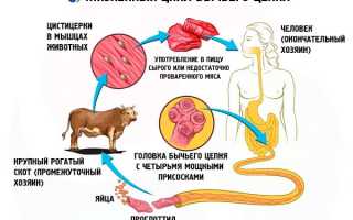 Черные глисты в человеке: профилактика и лечение в домашних условиях
