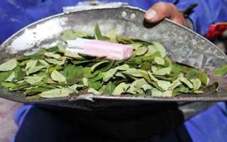 Последствия передозировки и отравления кокаином