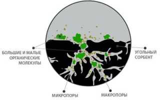 Активированный уголь – полезные свойства и принцип действия