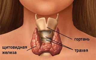 Признаки и симптомы передозировки L-тироксин