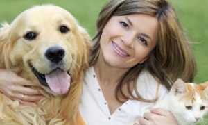 Борьба с паразитами с помощью использования касторового масла