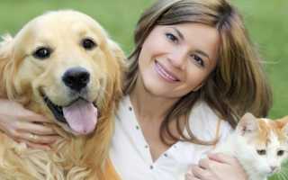 Борьба с паразитами с помощью использования касторового масла