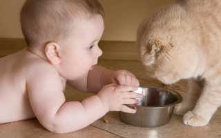 Как выглядят яйца глистов в кале у детей: симптомы и лечение различных видов паразитов