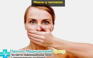 Заболевание миаз, как мухи могут его спровоцировать