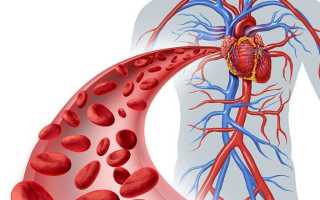 Как почистить организм березовым дегтем
