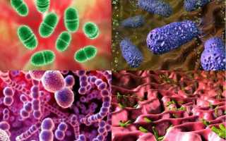 Как применять марганцовку от поноса