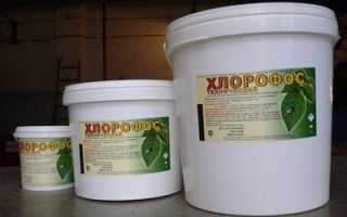 Признаки и первая помощь при отравлениях бытовыми ядами