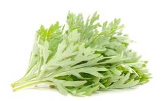 10 самых полезных трав для организма