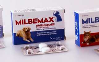 Препараты для собак от глистов: таблетки, суспензии, капли, уколы