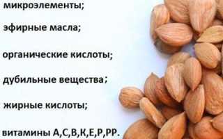 Польза и вред абрикосовых косточек