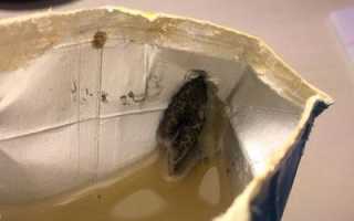 Афлатоксин: что это такое