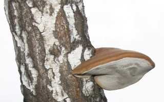 Лечение глазных заболеваний с помощью народной медицины