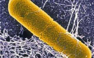 Симптомы и лечение отравления консервированными грибами