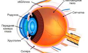 Формирование изображения и как построен глаз?