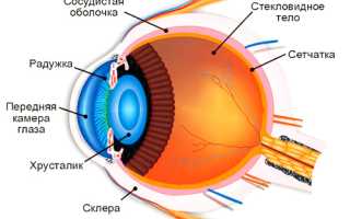 Формирование изображения и как построен глаз?