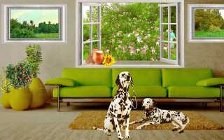 Лучшие средства от глистов для собак