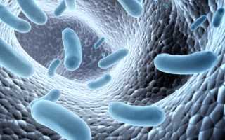 Лактофильтрум и аналогичные препараты