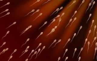 Как снизить активность сперматозоидов