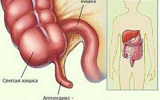 Что делать, если у ребенка появилась рвота на фоне нормальной температуры тела