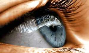 Эффективная народная медицина для лечения глаукомы