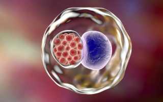 Как правильно принимать антибиотики при хламидиозе