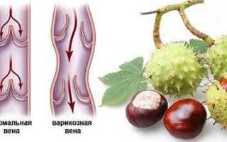 Симптомы отравления конским каштаном у людей