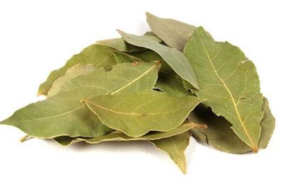 Сухой лавровый лист