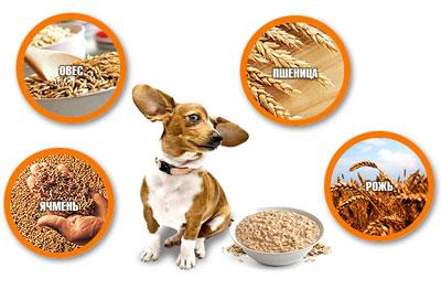 Крупы для собаки