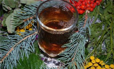 Отвар из хвои