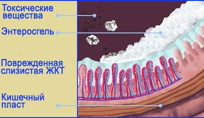 Действие энтеросгеля