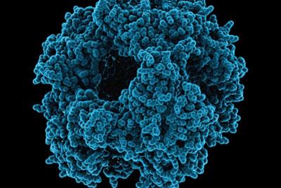 Ротавирусная инфекция