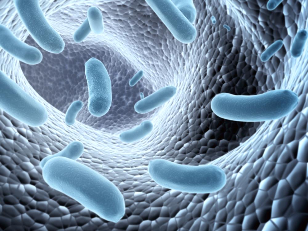 подавлять рост вредных микроорганизмов