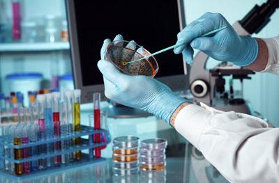 Лабораторные исследования