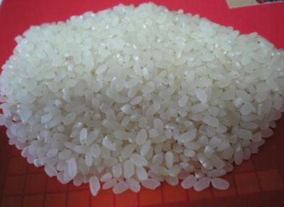 Круглый рис