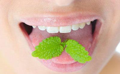 Свежее дыхание