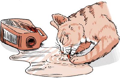 Кот и бытовая химия