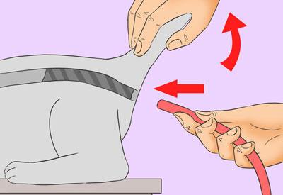 Постановка клизмы коту