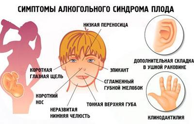 Влияние алкоголя на плод