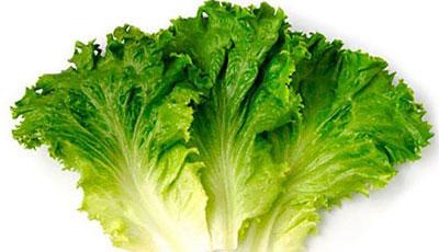 Листья салата