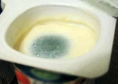Плесень на йогурте