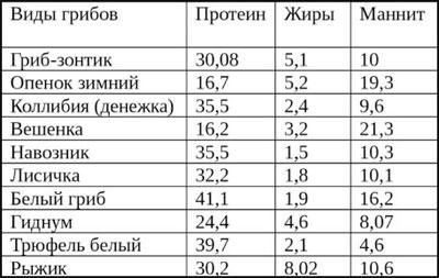 Содержание белка в грибах