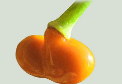 Сок чистотела