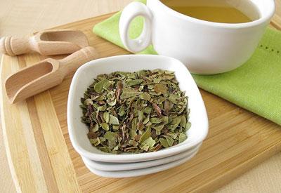 Настой из толокнянки